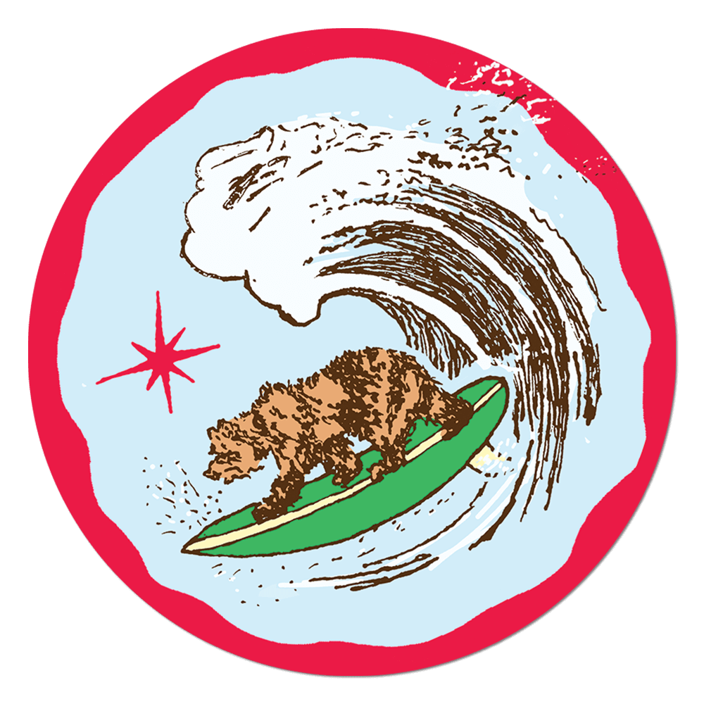 California Surfer Bear