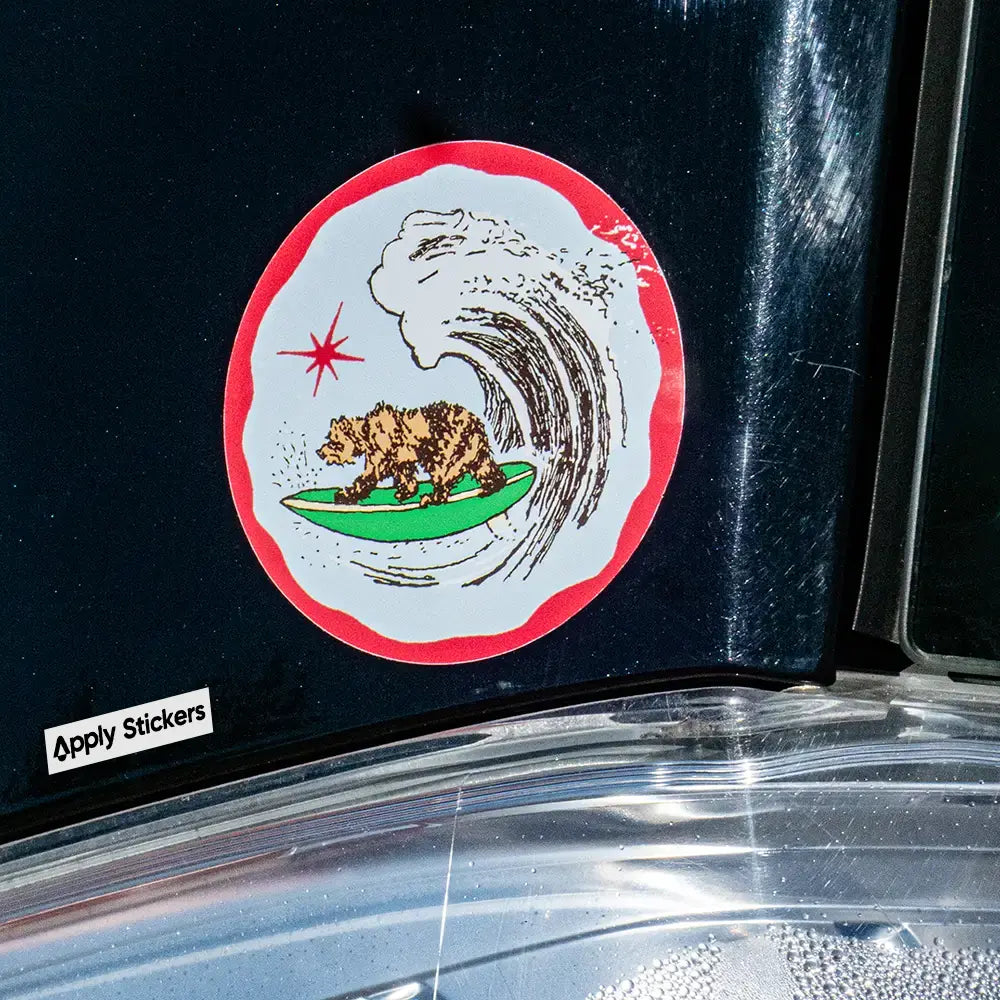 California Surfer Bear