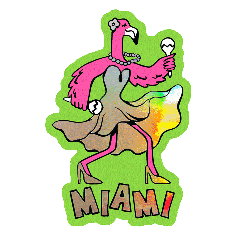 Miami Flamingo