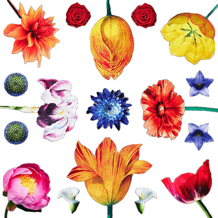 Bodega Blooms