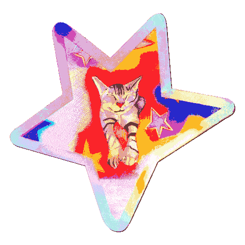 Star Kitty 1