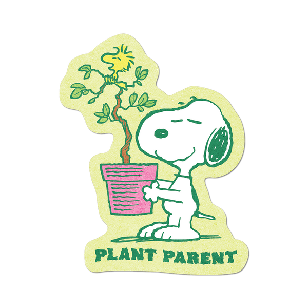 Single_Peanuts_PlantParent_Fla