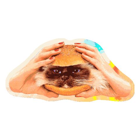 Catburger