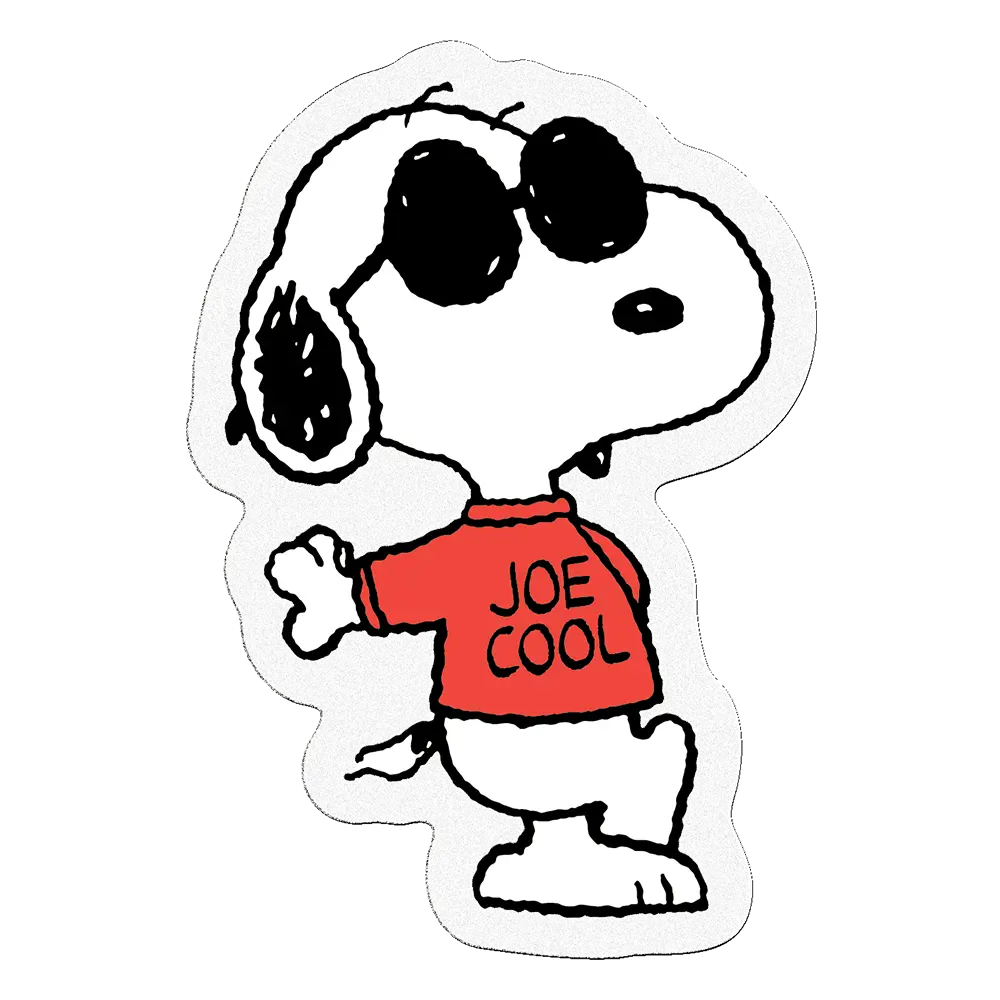 Joe Cool