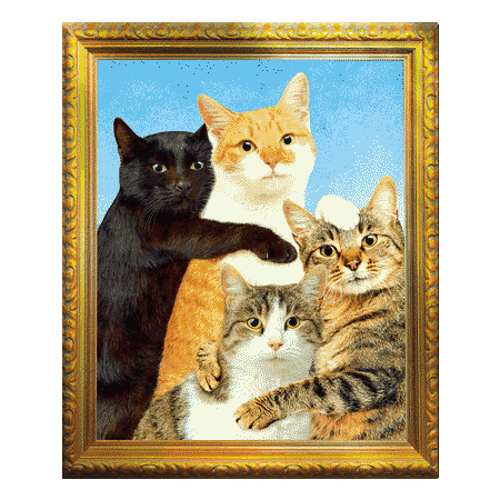 Kitty Family