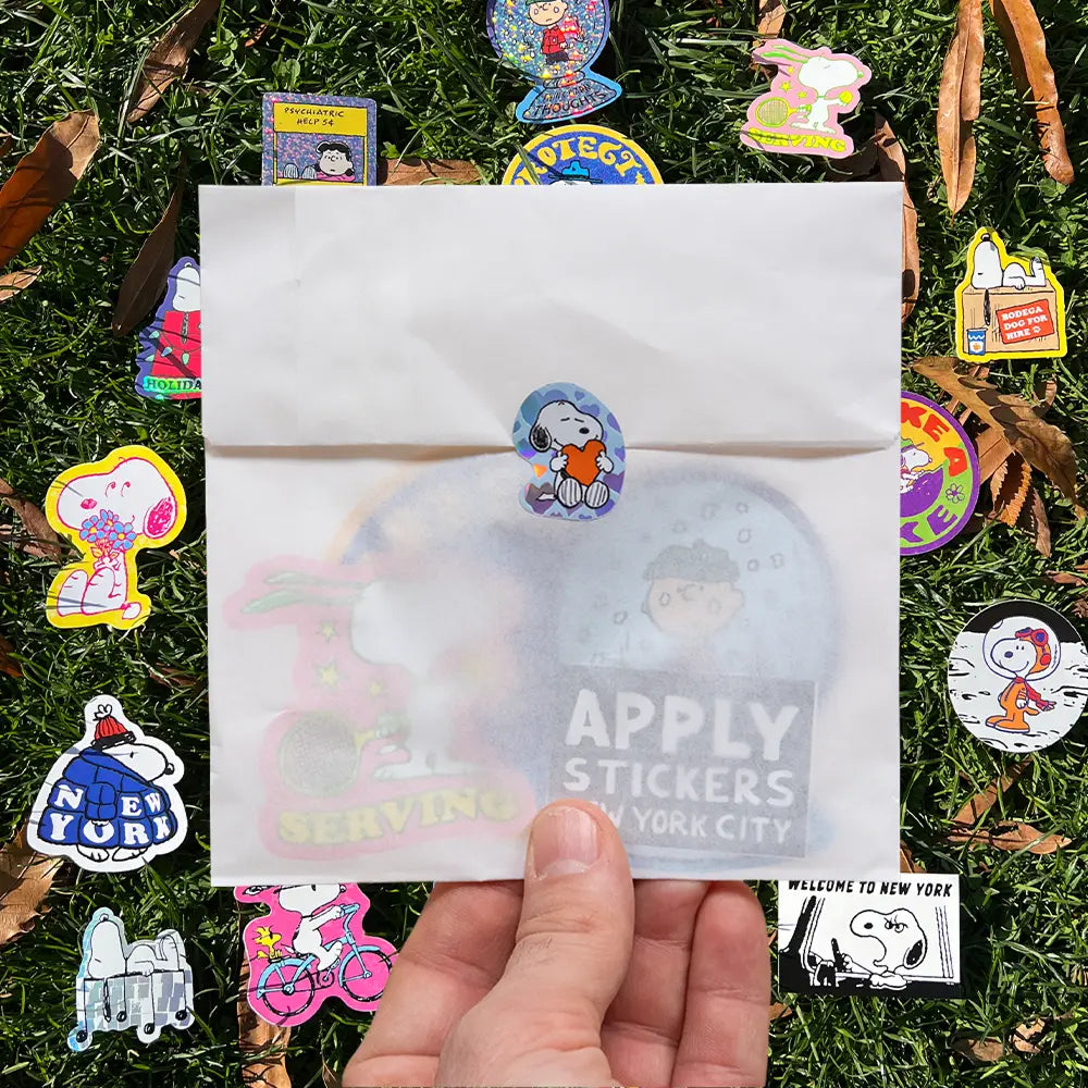 Peanuts Mystery Pack